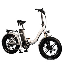 20 Inch 500W Fat Tire Folding Ebike with Mag Wheel